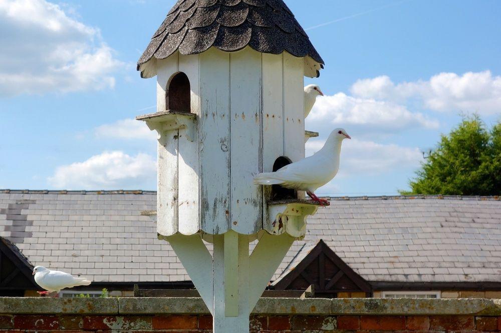 Гостевой дом Widbrook Grange Брадфорд на Аэвен Экстерьер фото